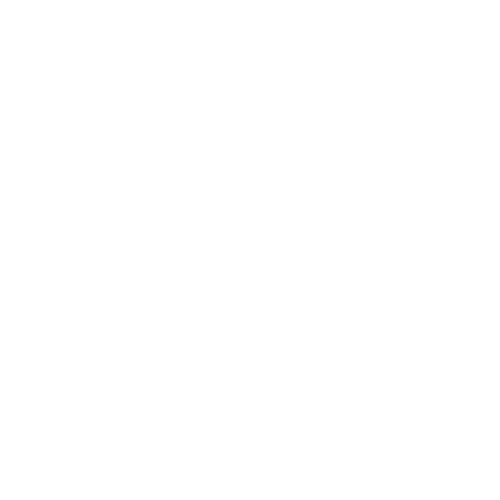 LongevityX Logo
